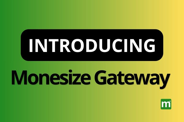 monesize gateway